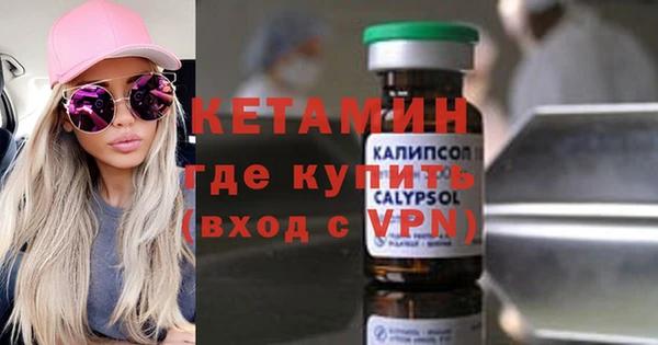 гидра Ессентукская