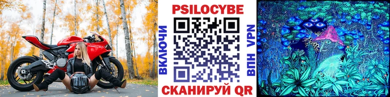 Псилоцибиновые грибы Cubensis  Усолье 